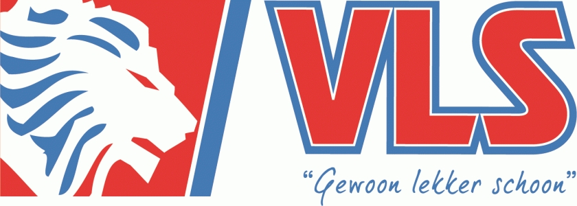 VLS Groep