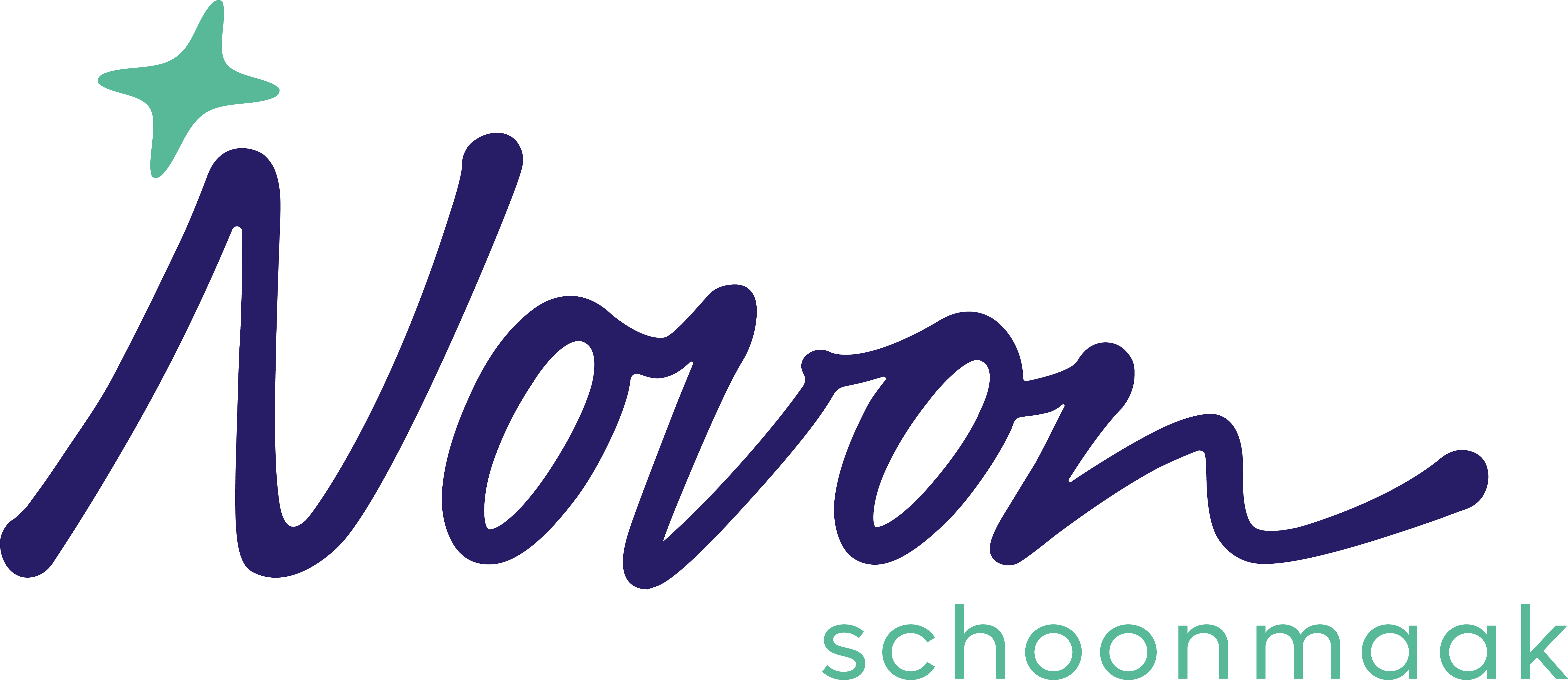 Novon Schoonmaak