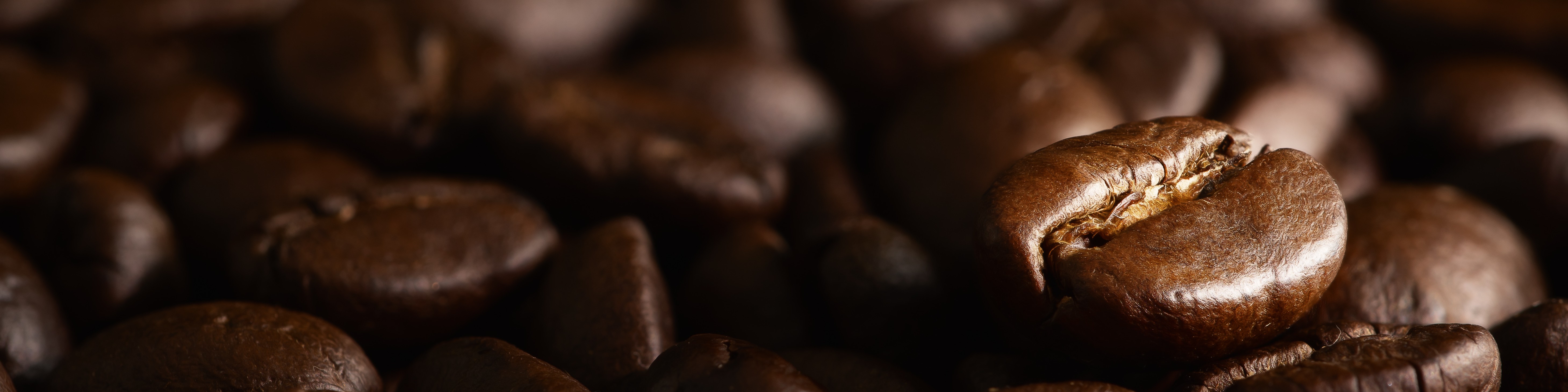 Café Salento header